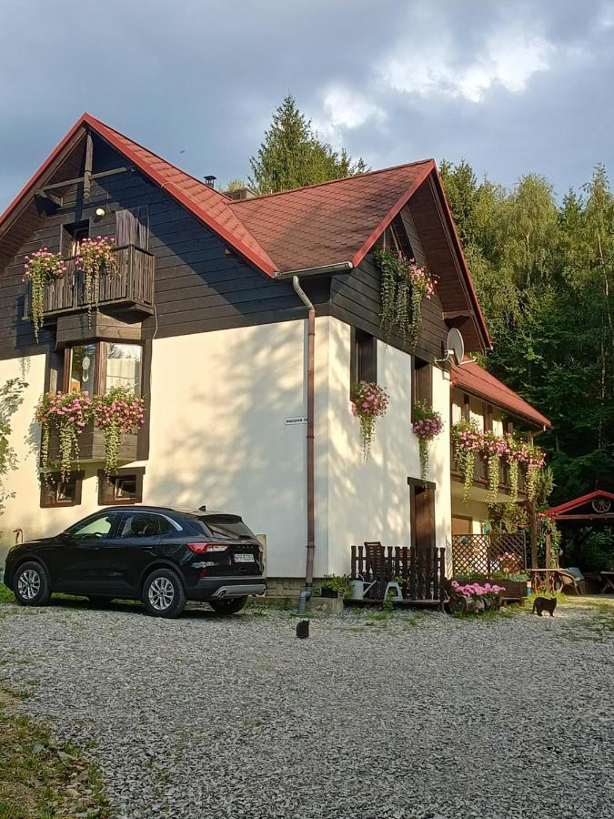 Kocia Gorka Apartment Wisła Exterior foto